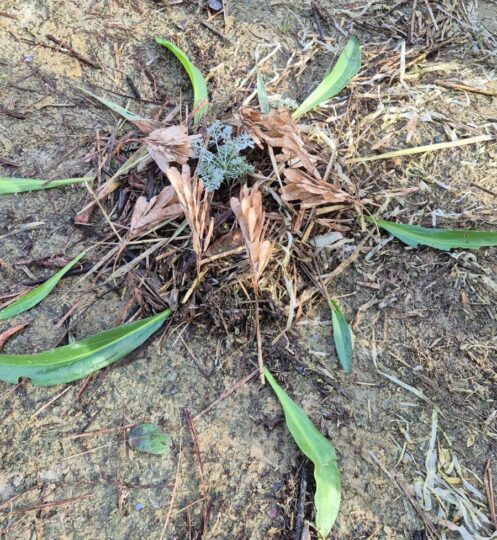 Zum Göttlichen finden – im Inneren, im Äußeren?