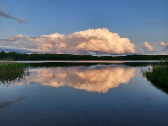 Friede auf Erden den Menschen, die eines guten Willens sind (Lk 2,14)