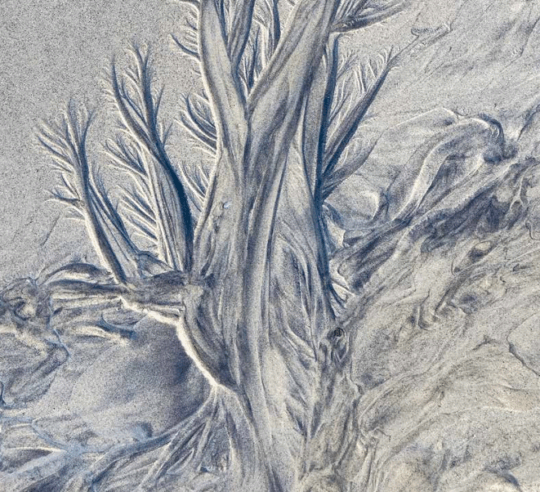 Die Christengemeinschaft