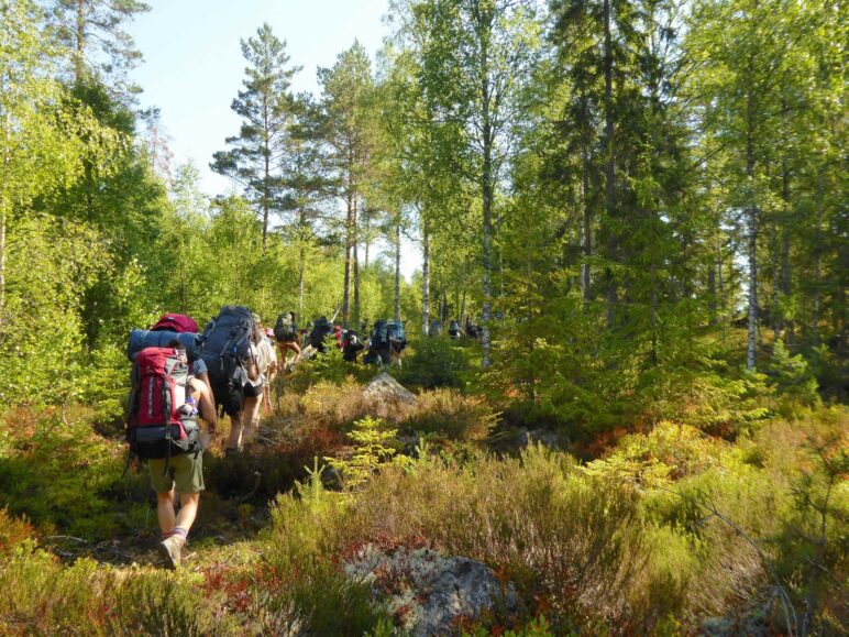 Freizeiten, Lehrgänge, Studienreisen