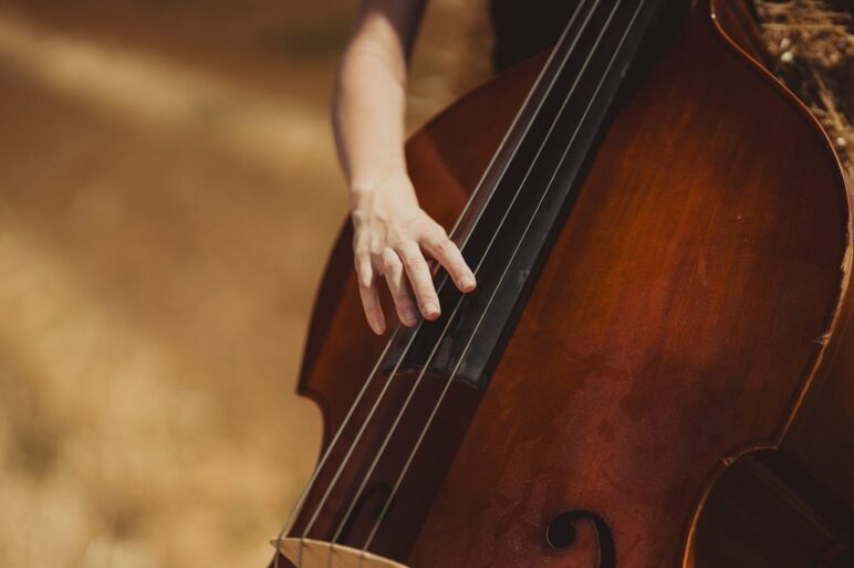 Entwicklungskraft Resonanz