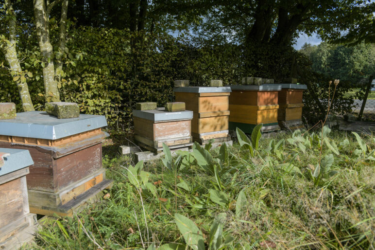 Spenden an die Gemeinde Ottersberg