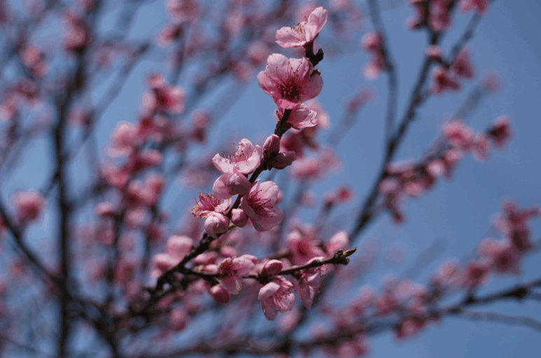 Anteil nehmen an seinem Wesen