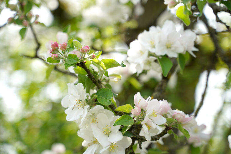 Anteil nehmen an seinem Wesen