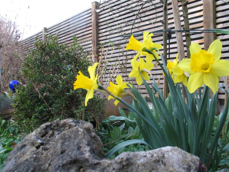 Regelmäßige Veranstaltungen