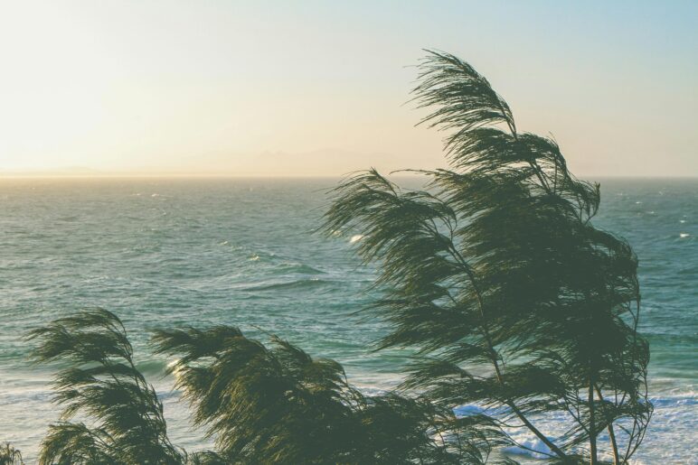 Qualitäten des Heiligen Geistes