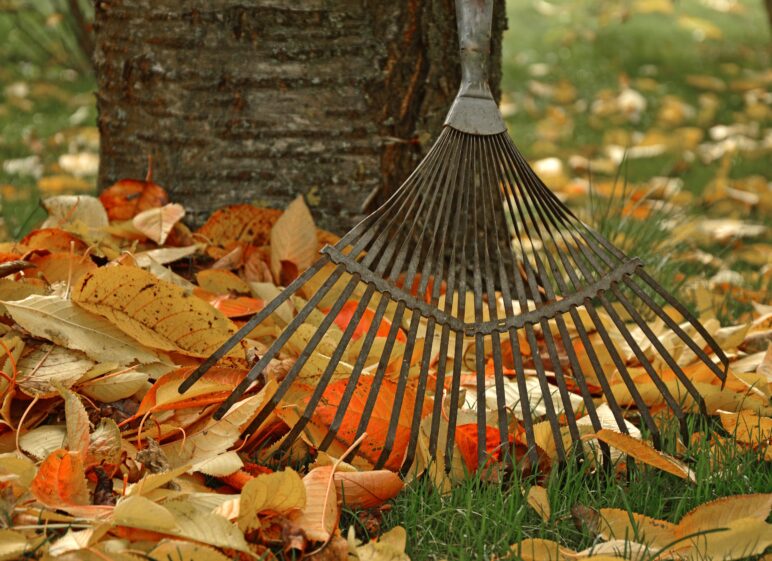 Gartentag