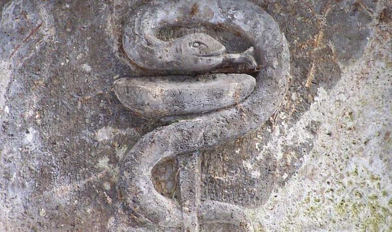 Heilung finden in der Aufrichtung der Schlange