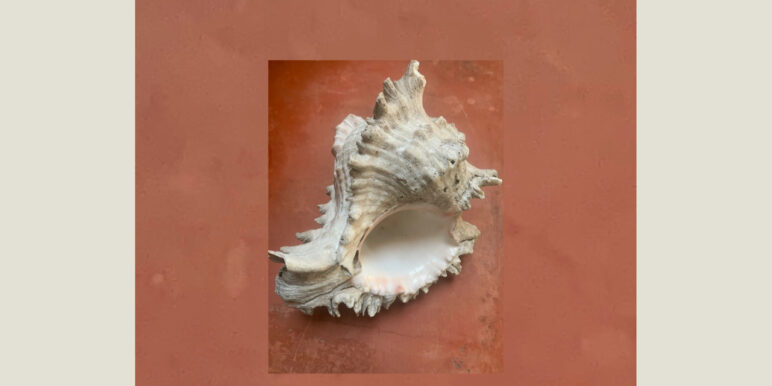 Tage der Stille auf dem Quellhof