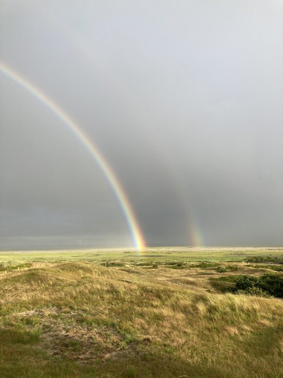 …und Deine Hand war über mir