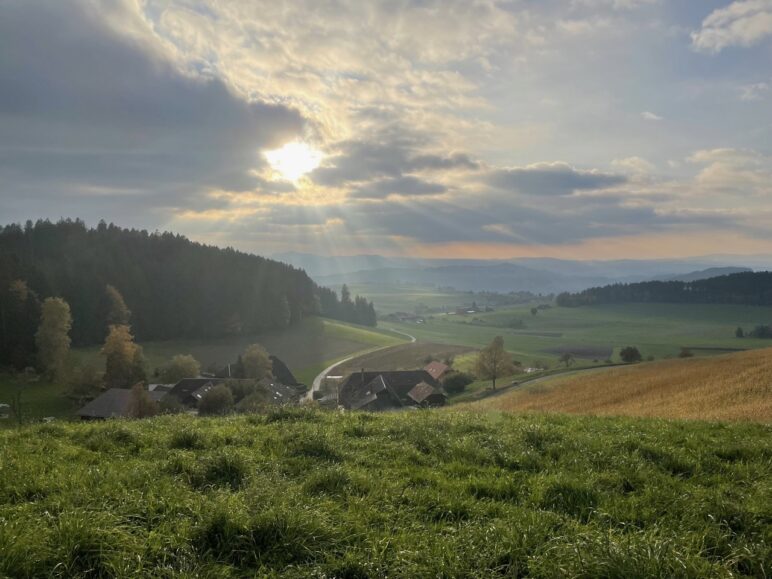 Ausflug zum Marienaltar