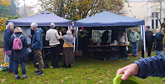 Blick in den Garten
