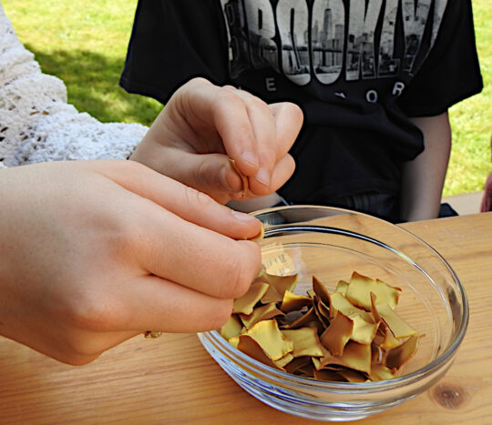 Zerbrechen der Wachstäfelchen