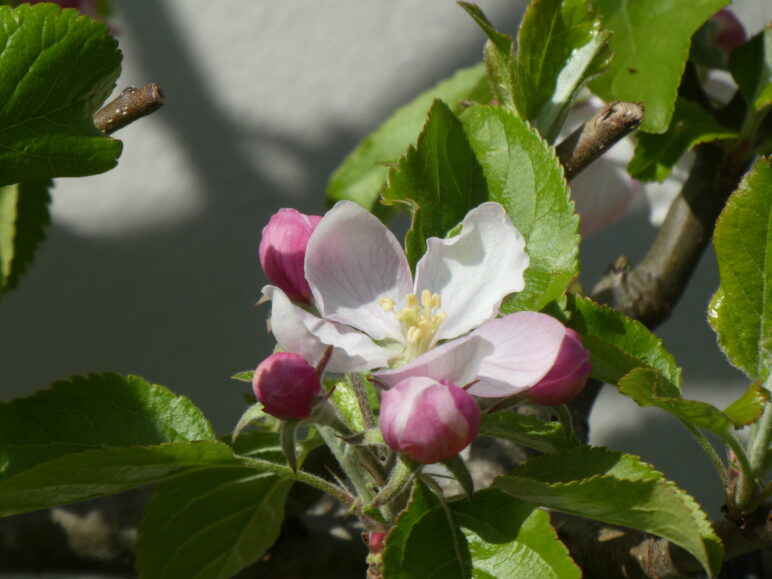 Osterfest in der Gemeinde
